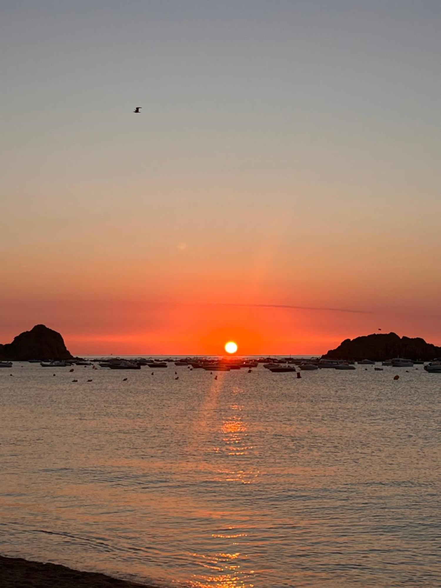 Tossa De Mar - Tropicana エクステリア 写真